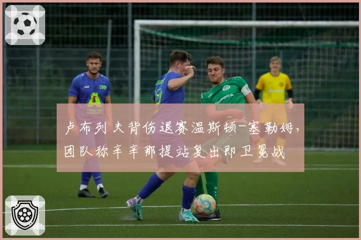 卢布列夫背伤退赛温斯顿-塞勒姆,团队称辛辛那提站复出即卫冕战