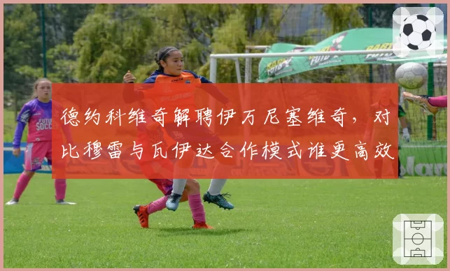 德约科维奇解聘伊万尼塞维奇，对比穆雷与瓦伊达合作模式谁更高效